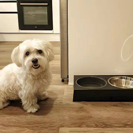 Apartamento Cumbre Loba