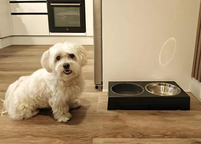 Apartamento Cumbre Loba